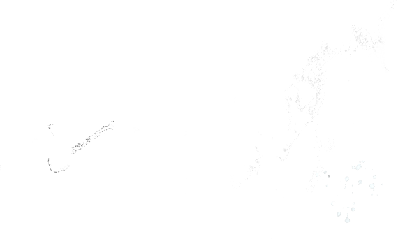 NEWS BY ONE KICHIJOJI